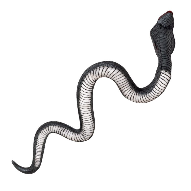 Latex cobra - Image 2